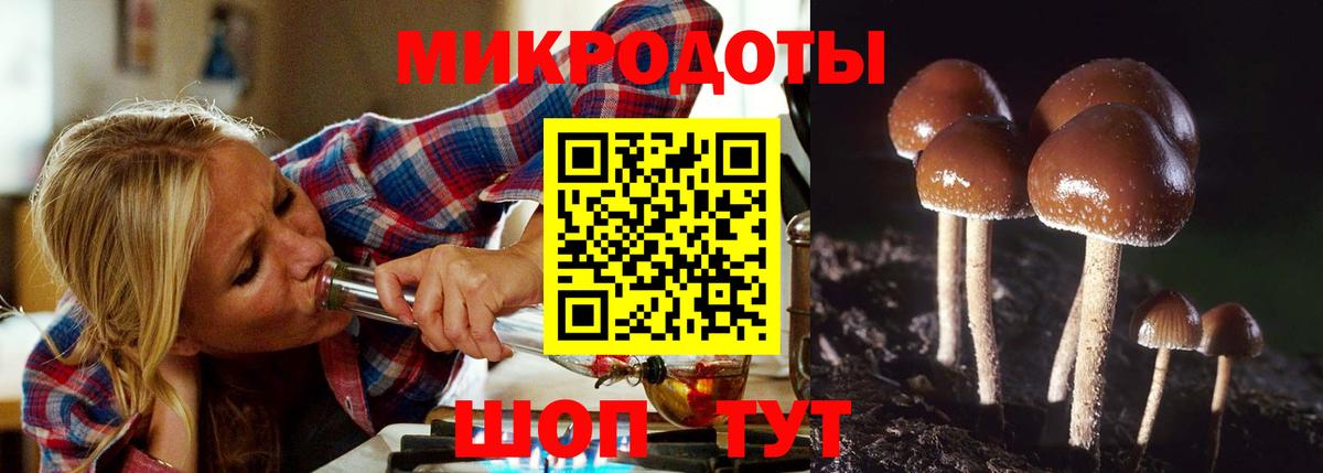 Галлюциногенные грибы Cubensis Аша